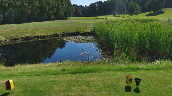 Kort par 3 hull med utslag over vannhinder.