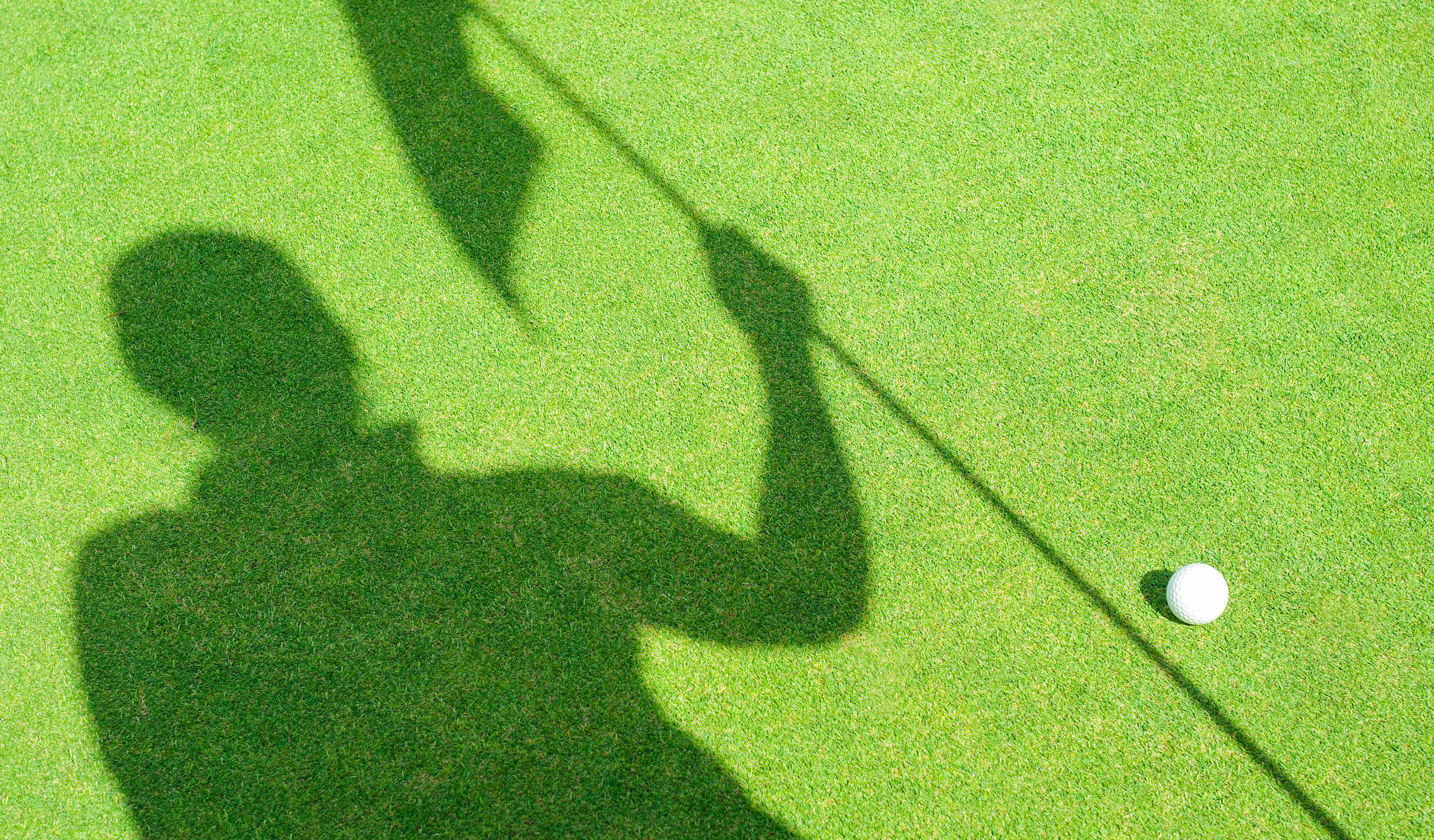 shutterstock_656441626